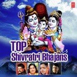 Top Shivratri Bhajans Vol - 5 - Sadhana Sargam Song Download